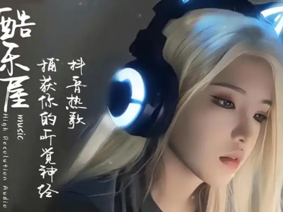 （精）正版64G无损歌曲整理，内含经典、怀旧、流行等，全部免费收藏！