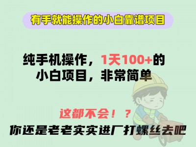 有手就能操作的小白项目(免费分享)